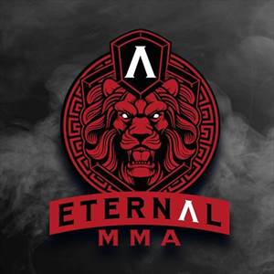 EMMA - Eternal MMA 14