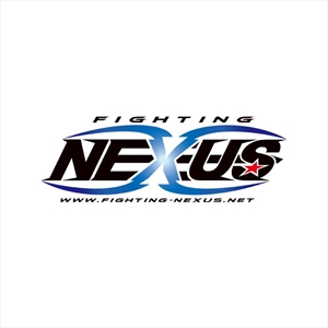 Fighting Nexus - Vol. 17