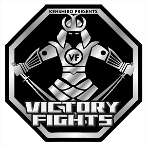 VF 2 - Victory Fights 2