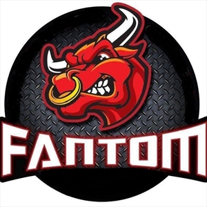 Fantom - Bull Fight 3