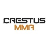 Caestus MMA 1 - Pro and Amateur MMA