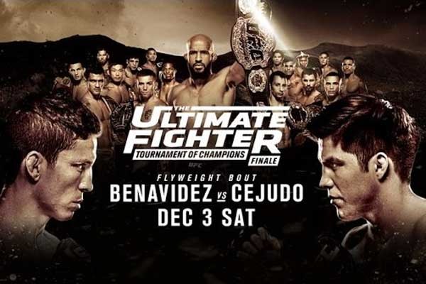 UFC - The Ultimate Fighter 24 Finale Poster October 29, 2016