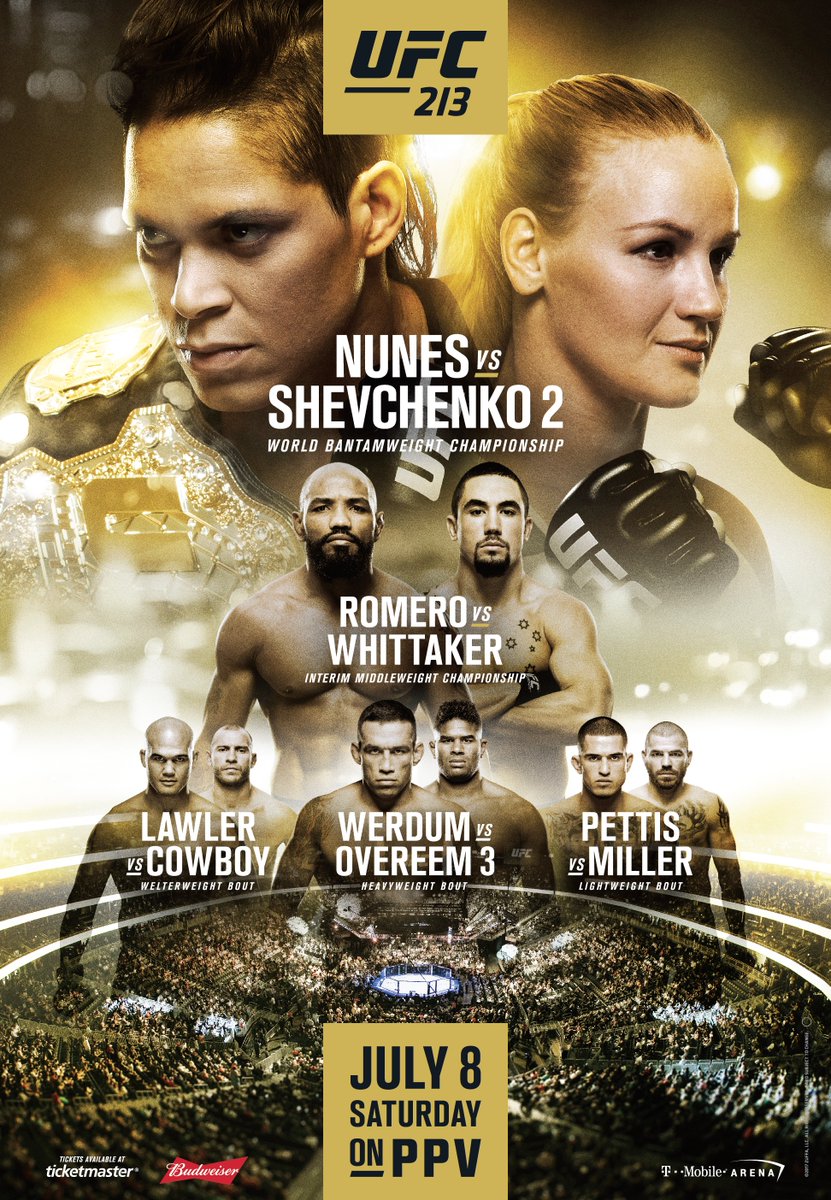 UFC 213 - Nunes vs. Shevchenko Poster June 02, 2017