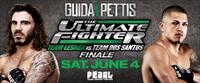 UFC - The Ultimate Fighter 13 Finale Poster