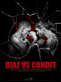 UFC 143 - Diaz vs. Condit Poster
