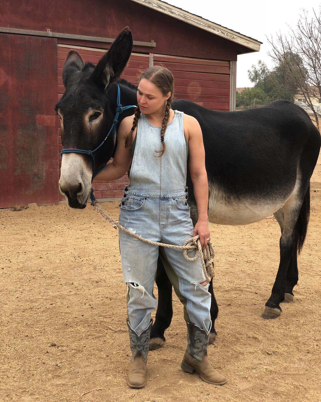 Ronda Rousey IG Post - Me and my sweet ass #Milly #BrowseyAcres