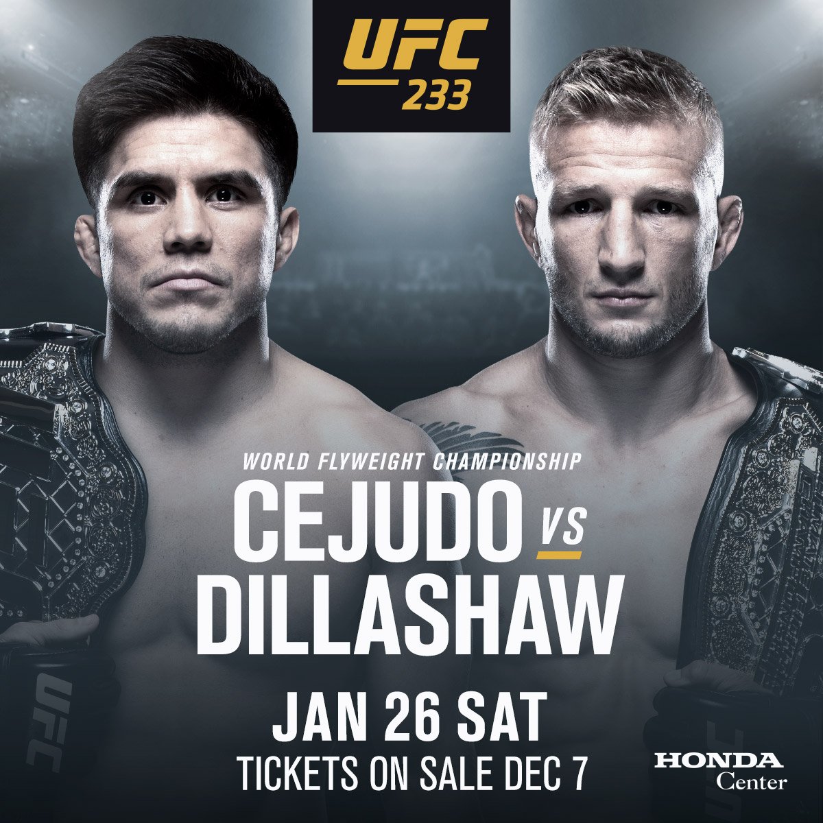 UFC 233 - Cejudo vs. Dillashaw Poster November 26, 2018