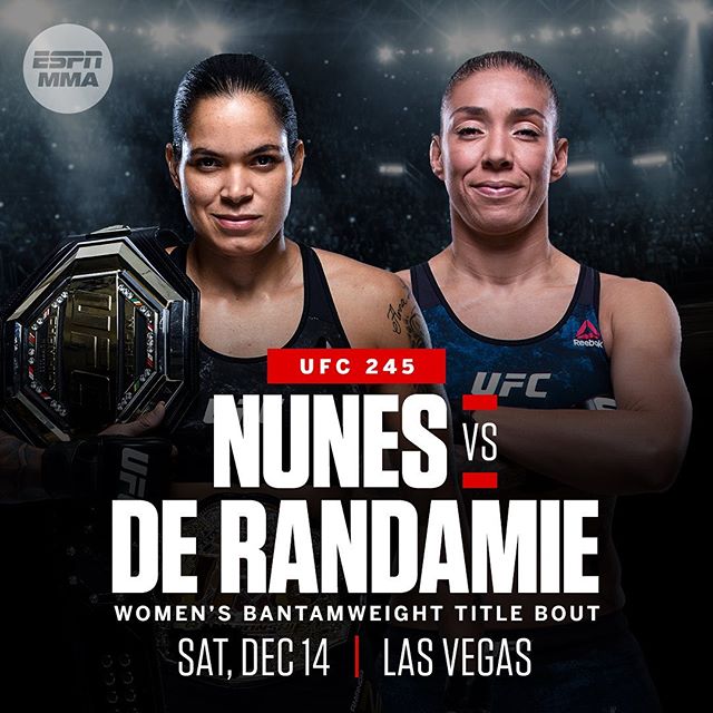UFC 245 Poster August 17, 2019