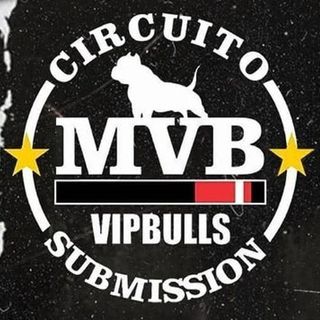 Circuito MVB