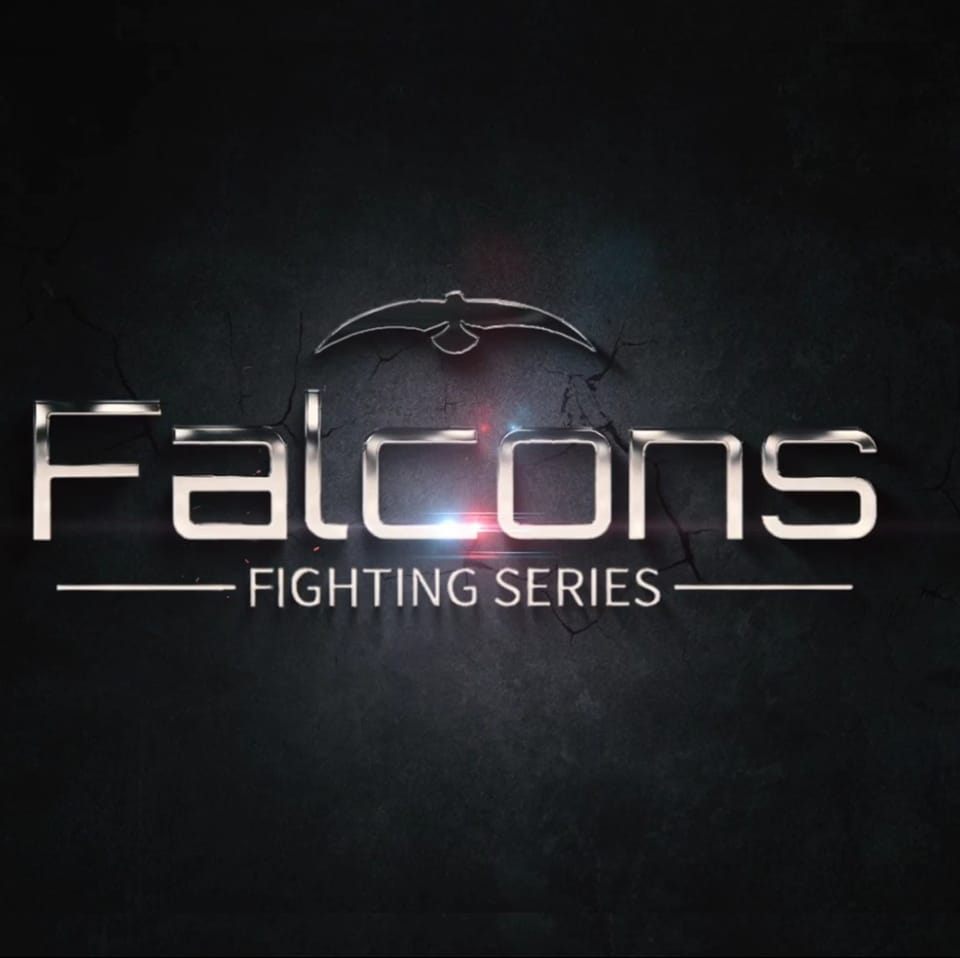 Falcons Fighting Series