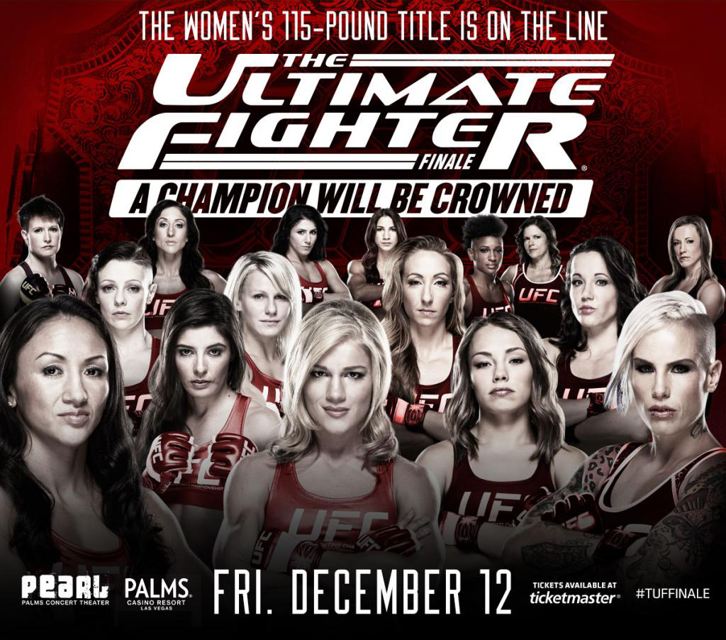 UFC - The Ultimate Fighter 20 Finale Poster December 05, 2014