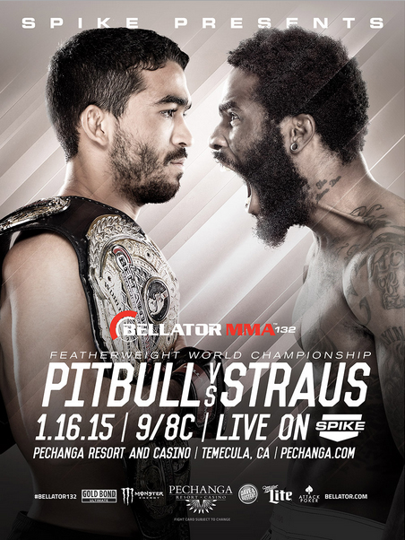Bellator MMA - Bellator 132 Poster January 17, 2015